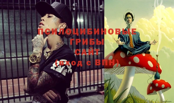 ECSTASY Инта