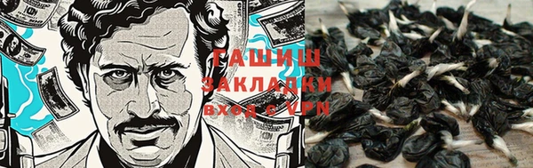 гашик Иннополис