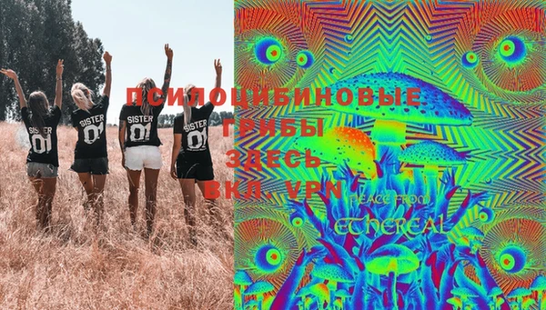 гашик Иннополис